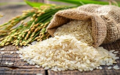 Buying for Efficient Asian Restaurant Revenue Management